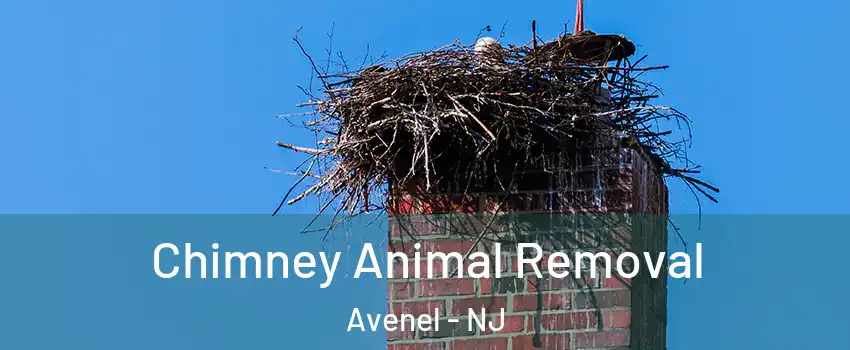  Chimney Animal Removal Avenel - NJ
