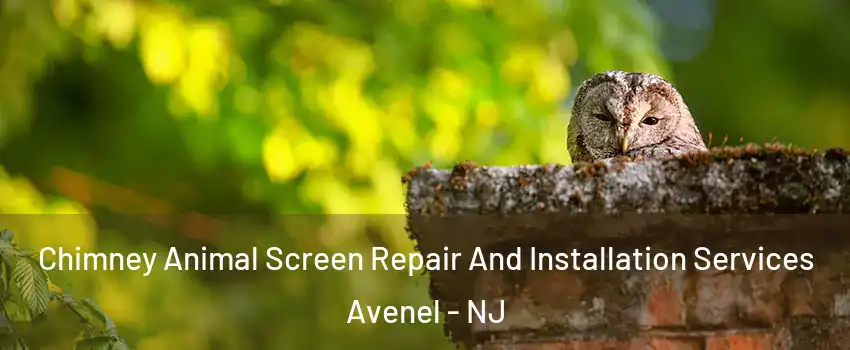  Chimney Animal Screen Repair And Installation Services Avenel - NJ