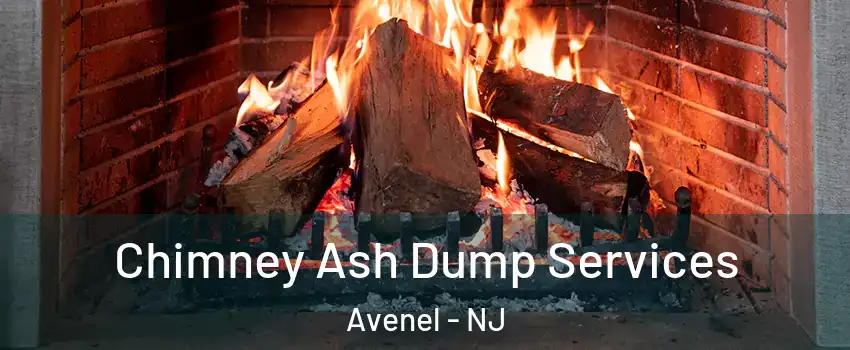 Chimney Ash Dump Services Avenel - NJ