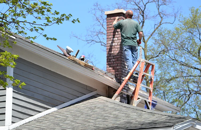 Chimney & Fireplace Inspections Services in Avenel, NJ