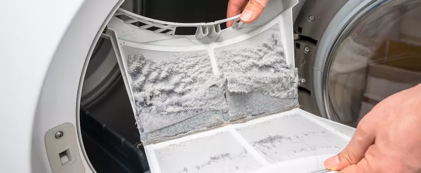 Best Dryer Lint Removal Company in Avenel, New Jersey