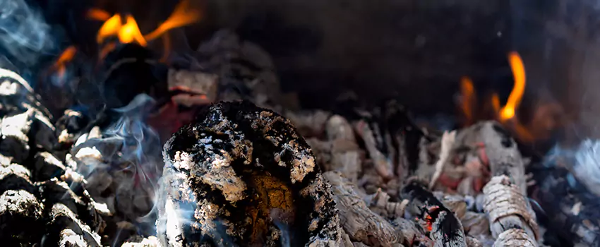 Creosote Removal Experts in Avenel, NJ