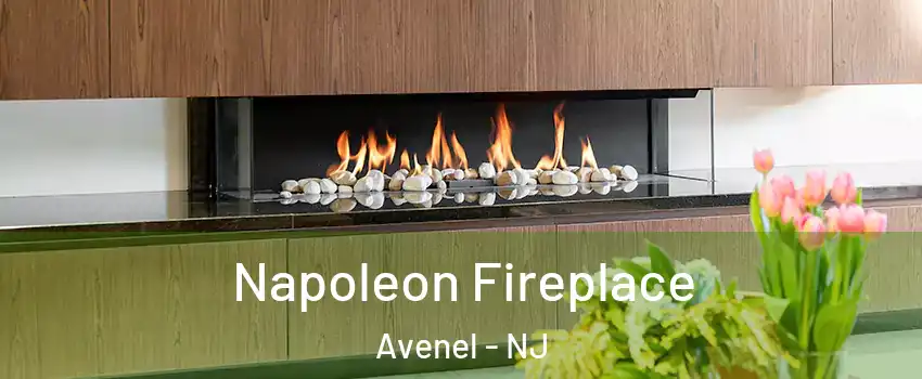  Napoleon Fireplace Avenel - NJ