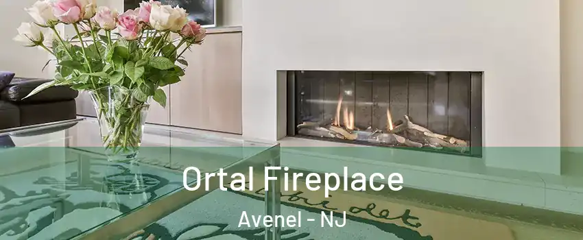  Ortal Fireplace Avenel - NJ